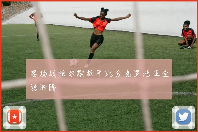 客场战帕尔默扳平比分克罗地亚全场沸腾