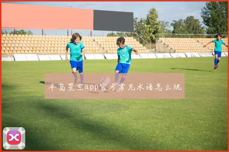 半岛星空app官方常见术语怎么玩